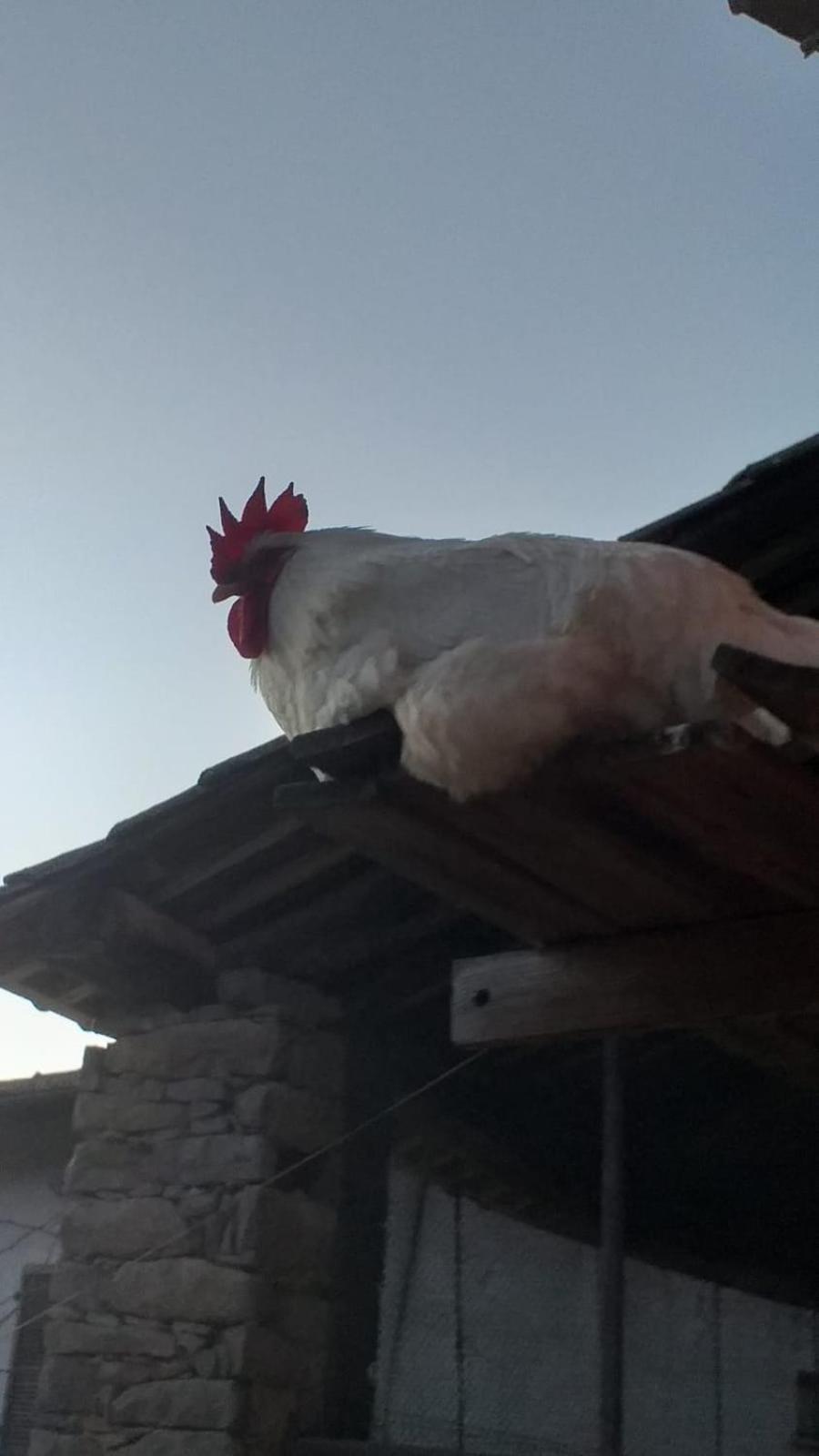 Agriturismo Cascina Knec Feisoglio Kültér fotó