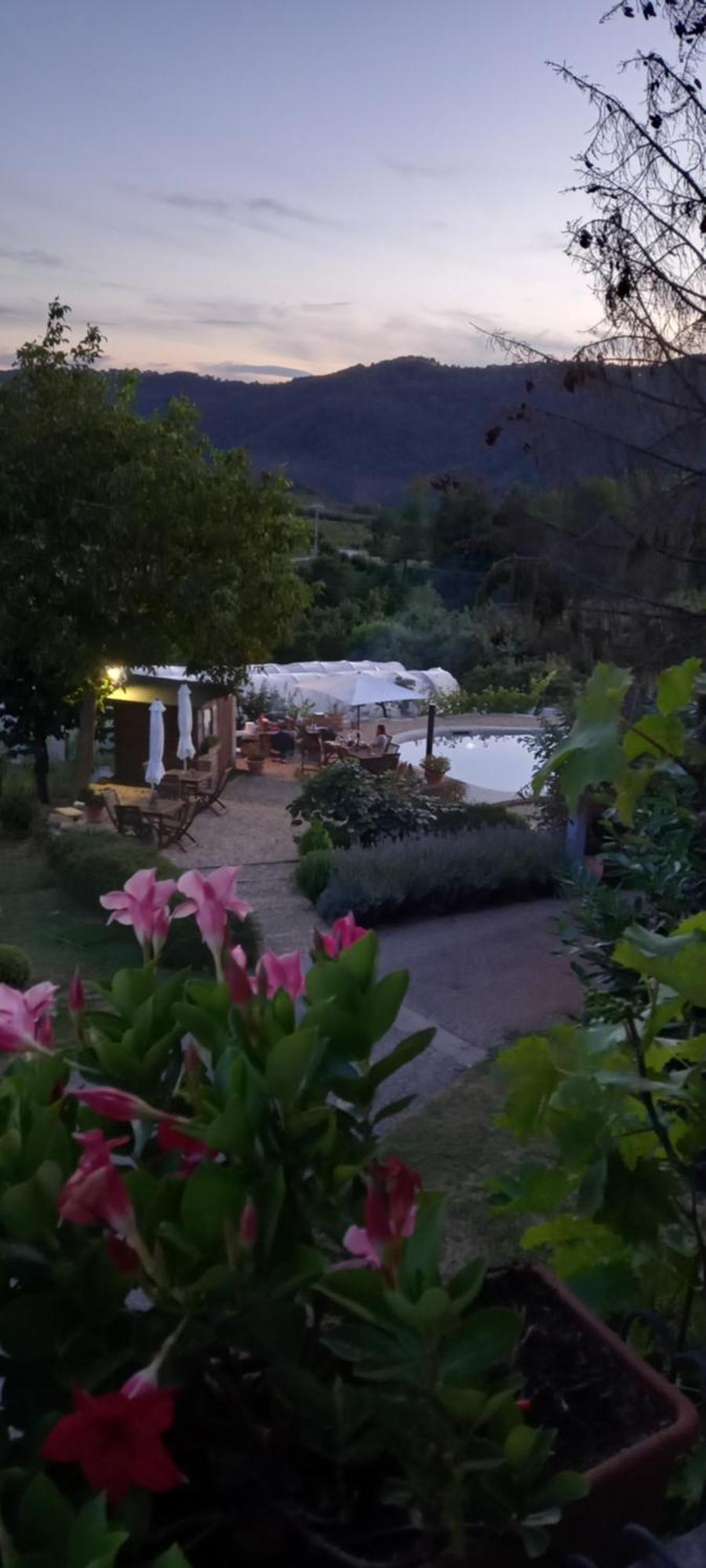 Agriturismo Cascina Knec Feisoglio Kültér fotó
