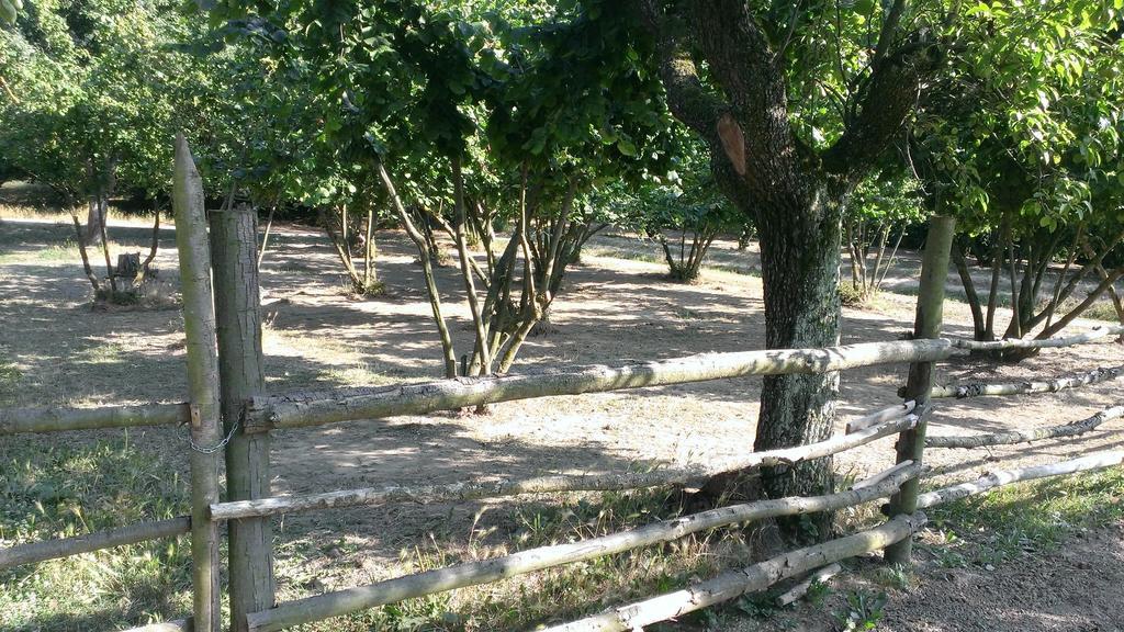 Agriturismo Cascina Knec Feisoglio Kültér fotó