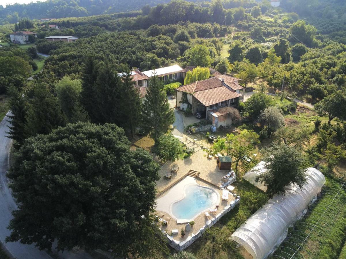 Agriturismo Cascina Knec Feisoglio Kültér fotó